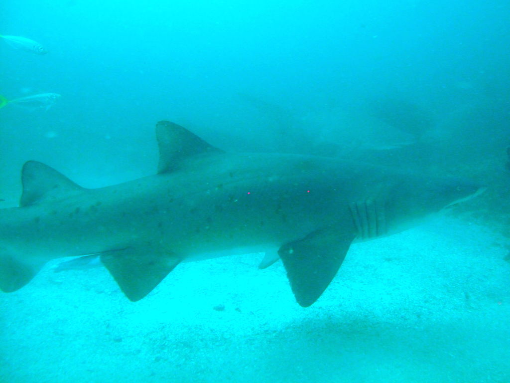 1ba0ab4b-0dd1-4e17-a0b8-22ca40f49d90