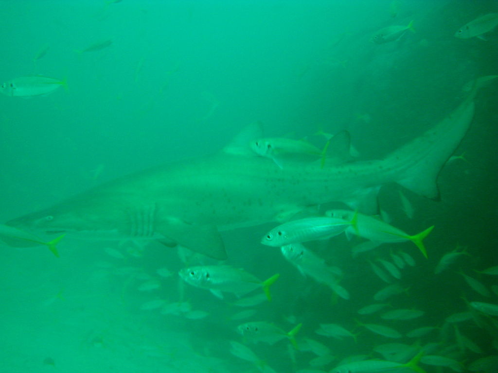 e80e5fc6-656c-4f3a-9aba-285c02d15919