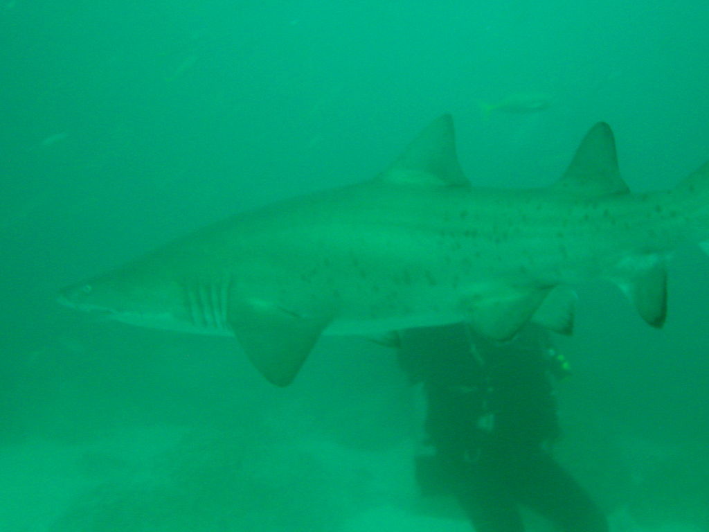 e80e5fc6-656c-4f3a-9aba-285c02d15919