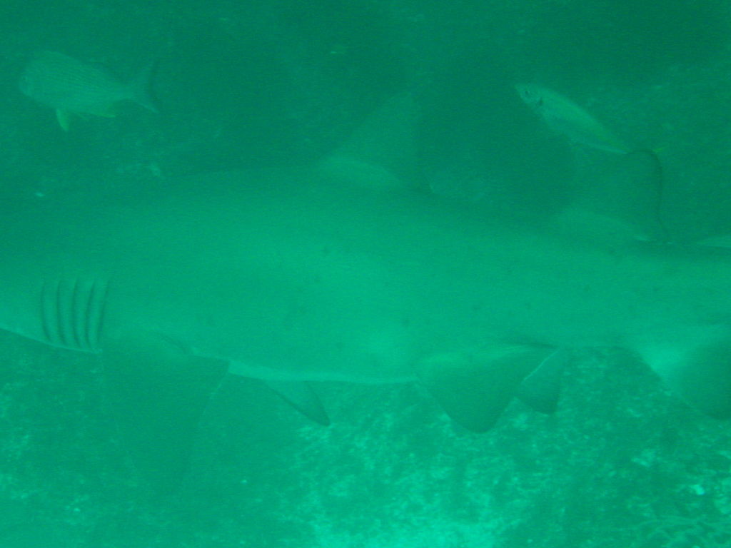 c5a67050-1855-4bf5-a0b6-ae2307210c6f