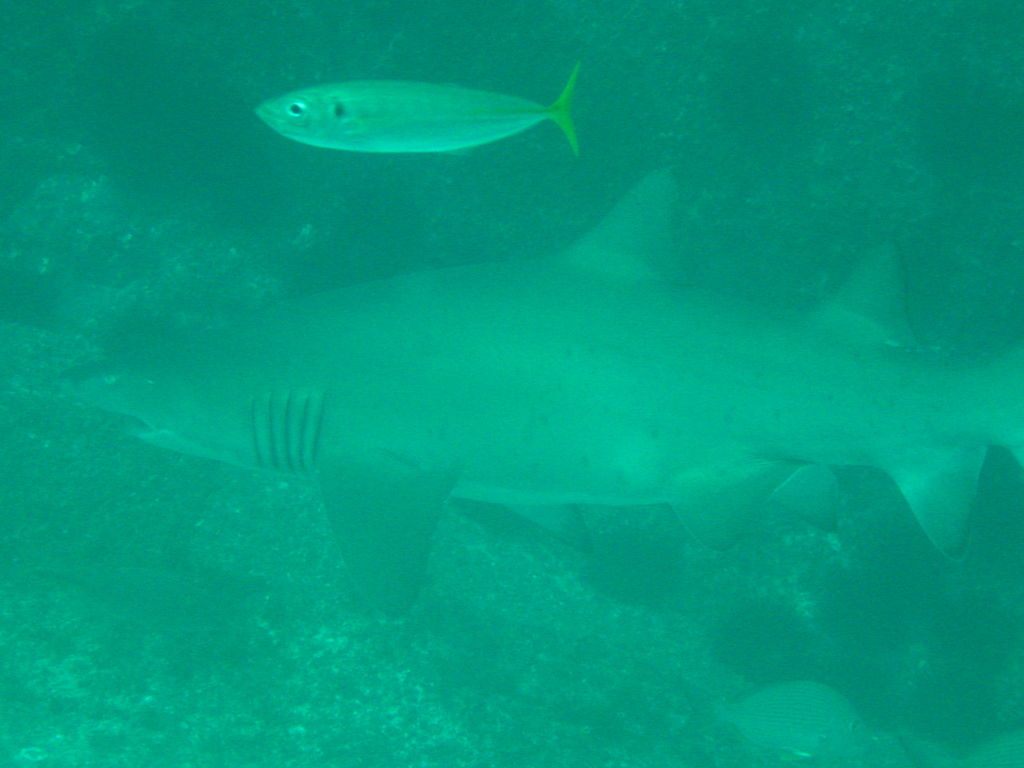 c5a67050-1855-4bf5-a0b6-ae2307210c6f