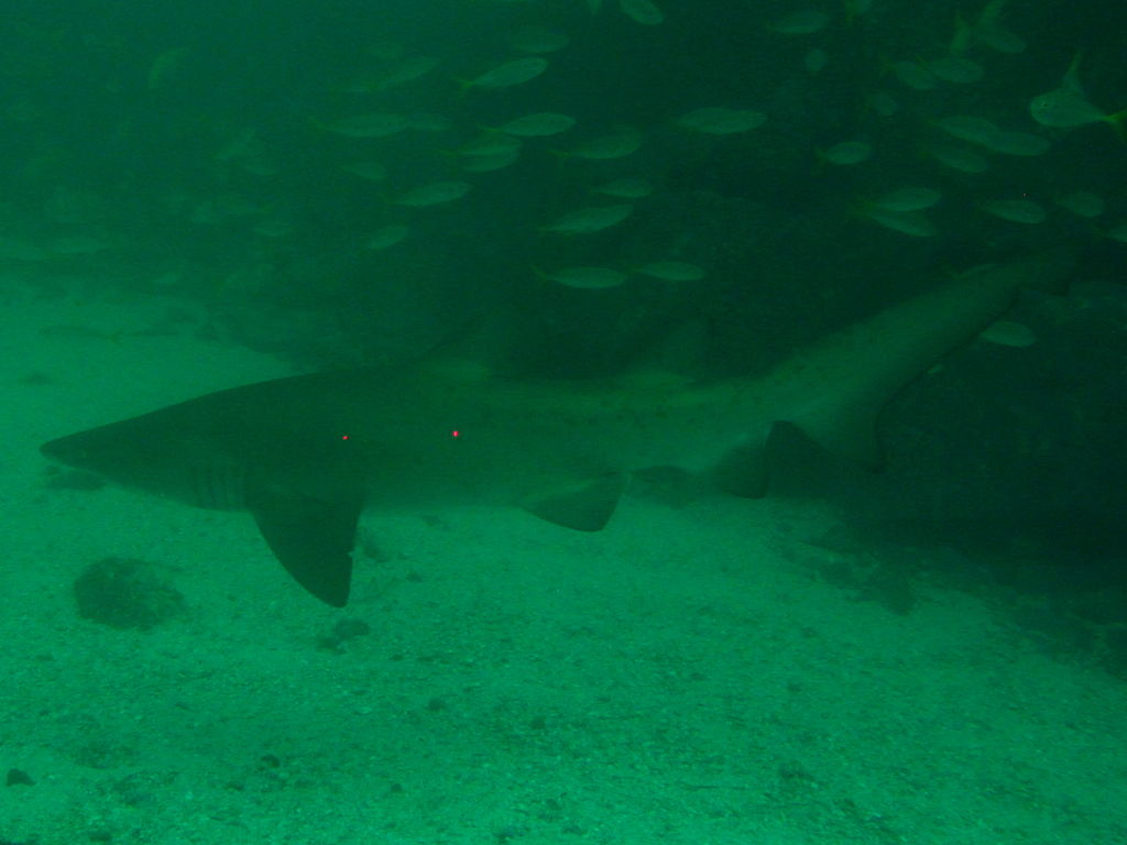 9a4a2c44-0f3a-445c-a439-234ccab3f89e