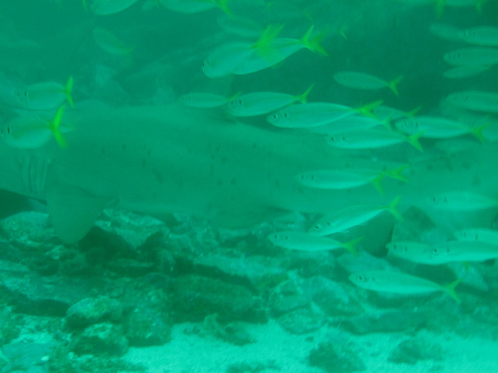 ee7ff81b-3b99-4ede-94e2-afa427ae1d81