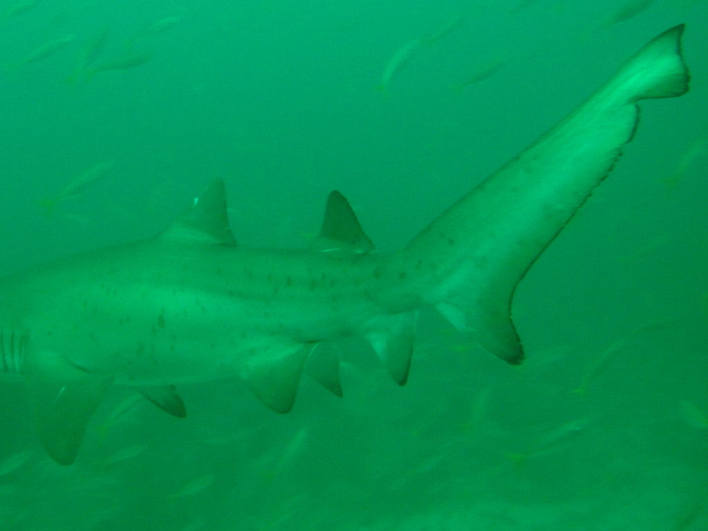 cb35d9bd-d343-463f-a96a-6ae0572343c5