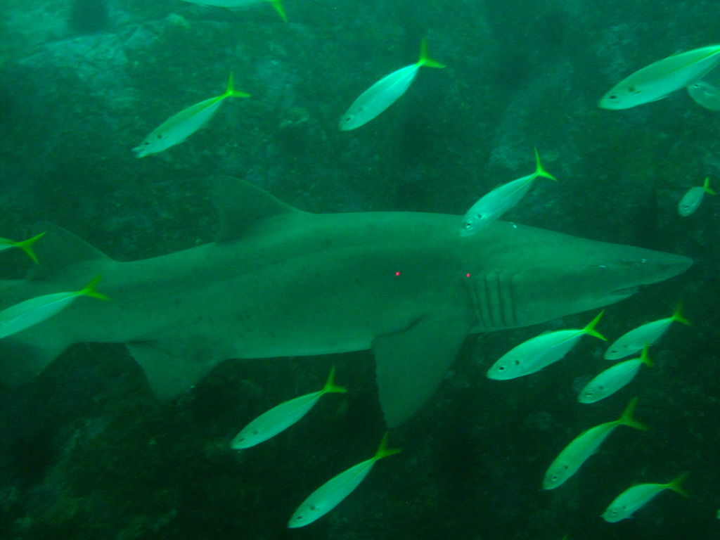 bbb66a80-e688-4262-bdfa-94292b8b0375