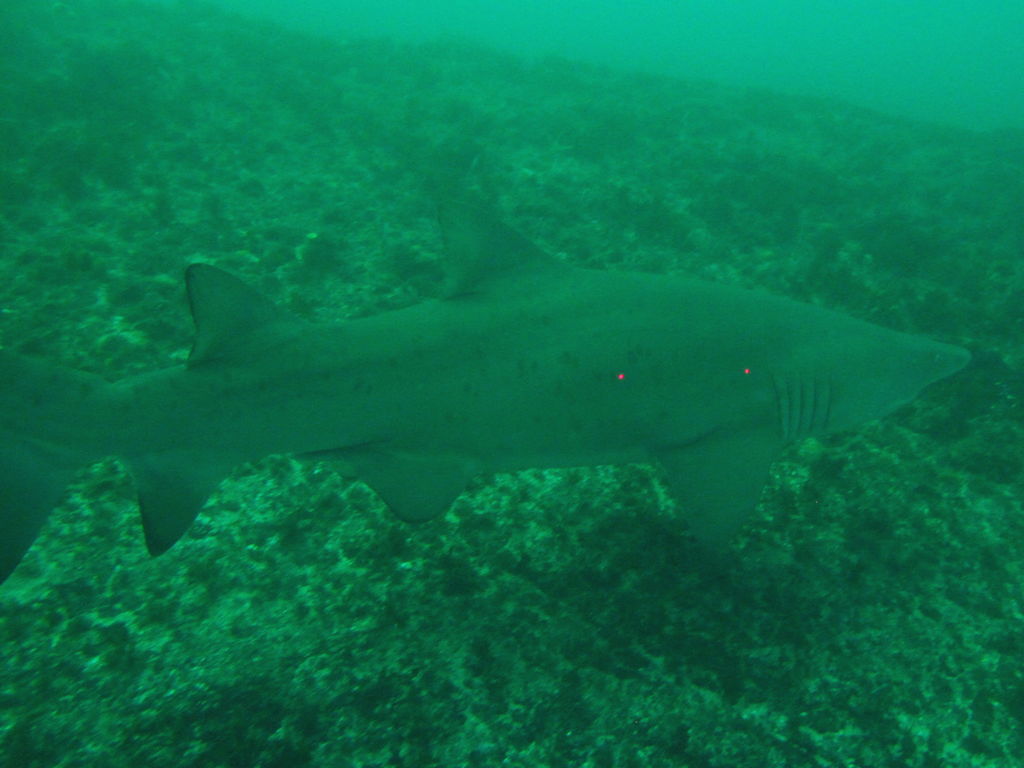 09087d19-9d96-4d55-aa71-b5b4293938c6