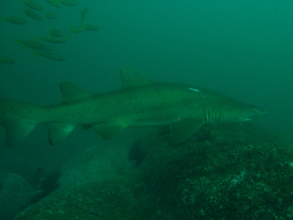 208761fe-2b8a-41a6-9ca9-8e1e3ec45bcf