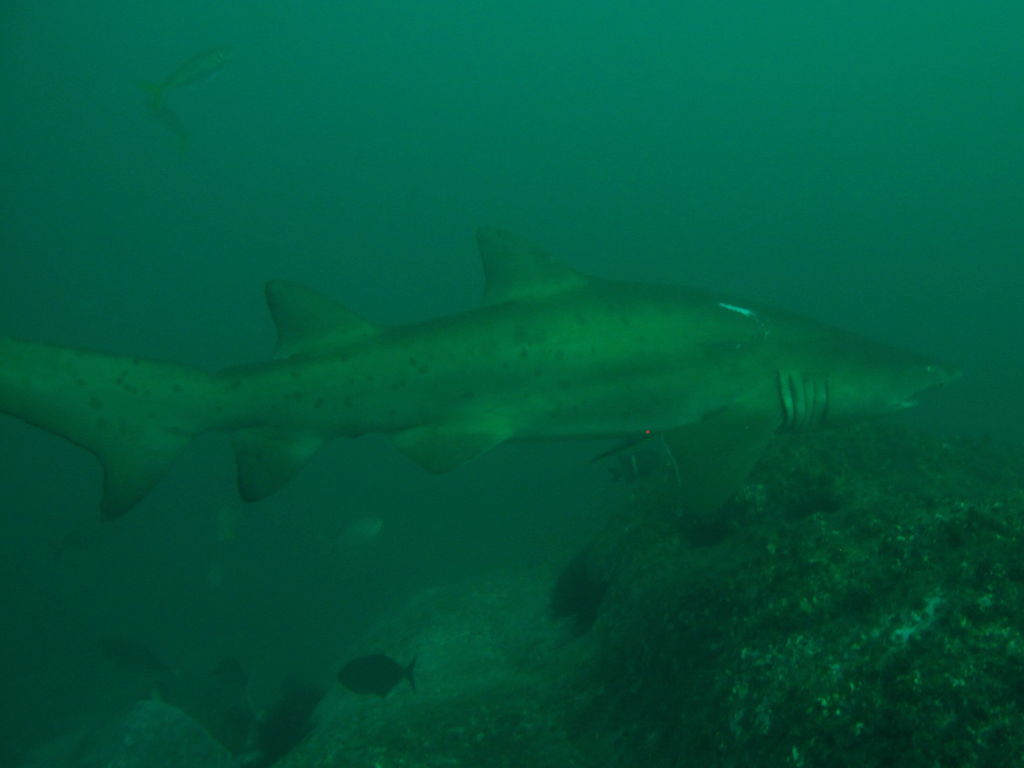 208761fe-2b8a-41a6-9ca9-8e1e3ec45bcf