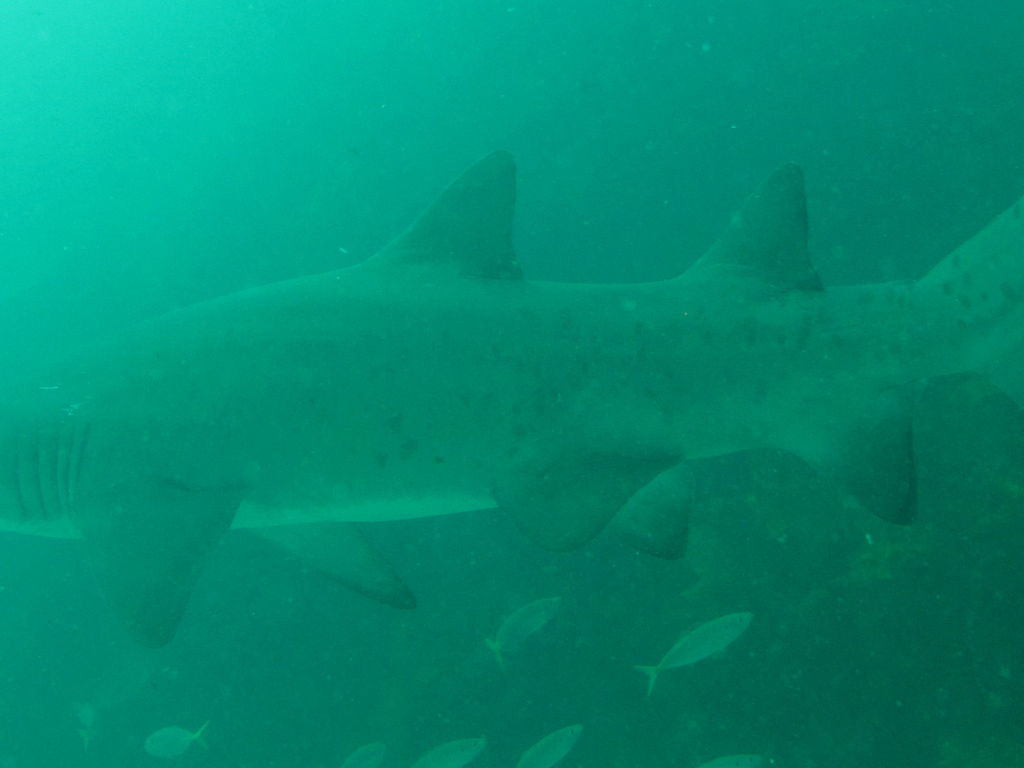 01f83d51-a0cf-4b56-8cf3-fef66a00311a