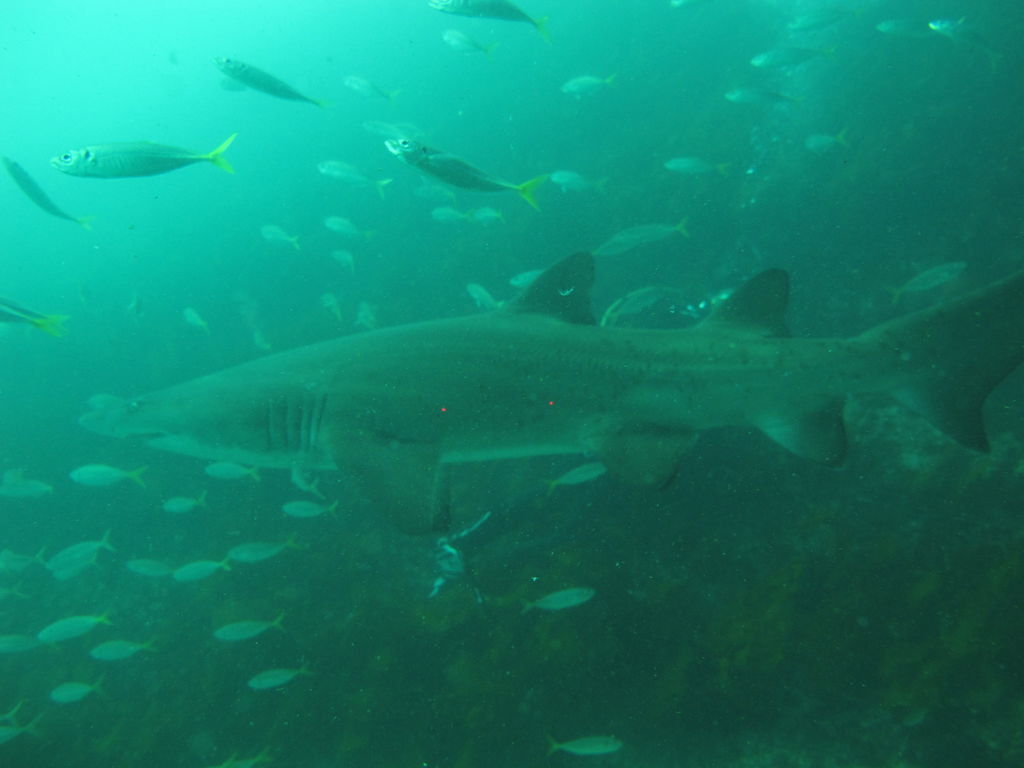 01f83d51-a0cf-4b56-8cf3-fef66a00311a