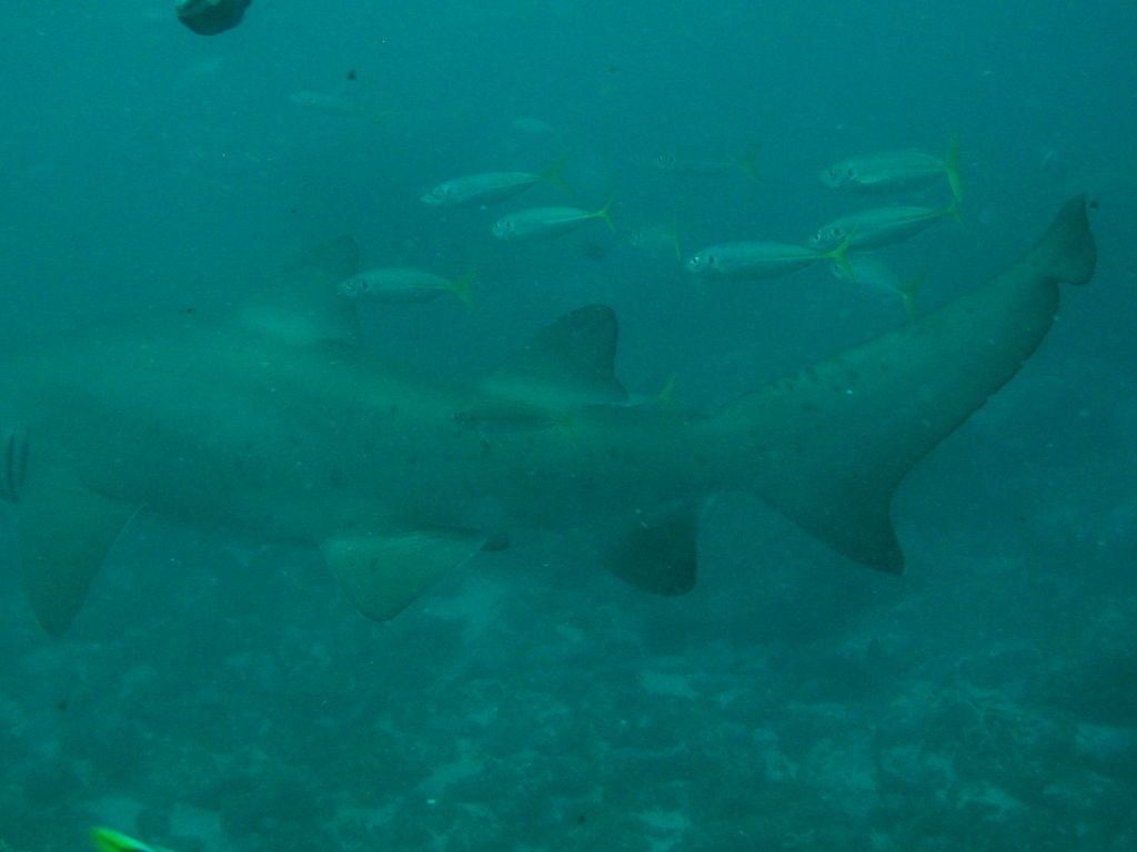 274a4940-658c-43cf-b983-1fb0c215e689