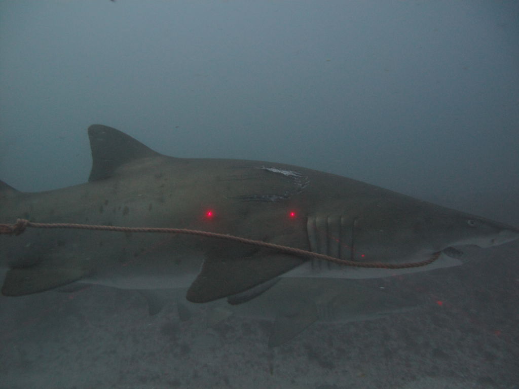 208761fe-2b8a-41a6-9ca9-8e1e3ec45bcf