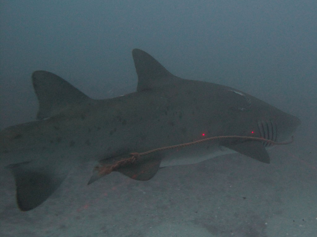 208761fe-2b8a-41a6-9ca9-8e1e3ec45bcf