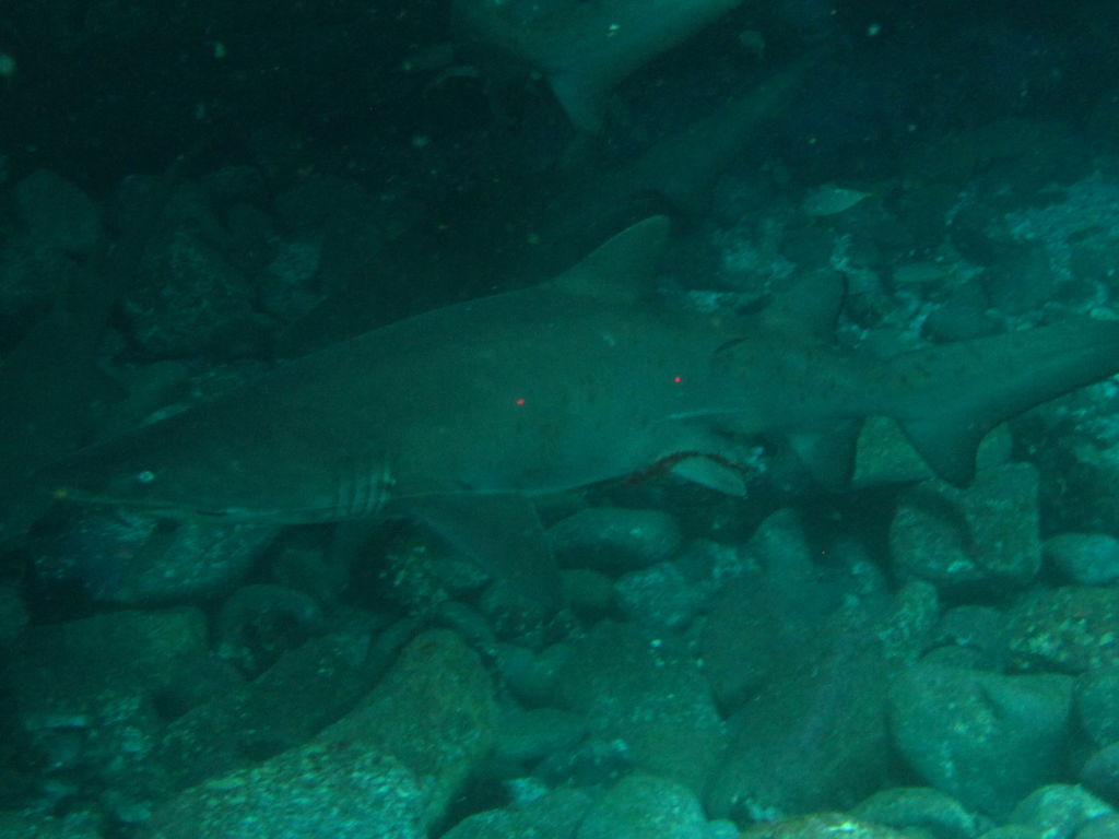 0afd651f-b691-4ac4-96d4-685bbe24b623