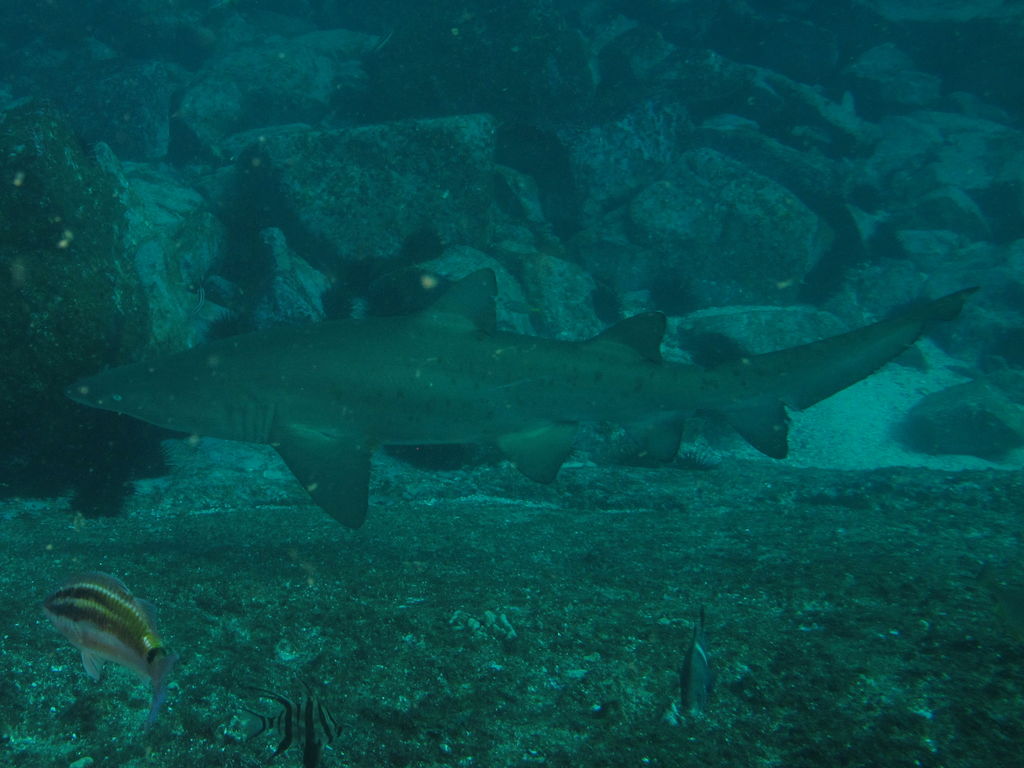 2020f519-578f-4e62-9e8d-31dd96253e92