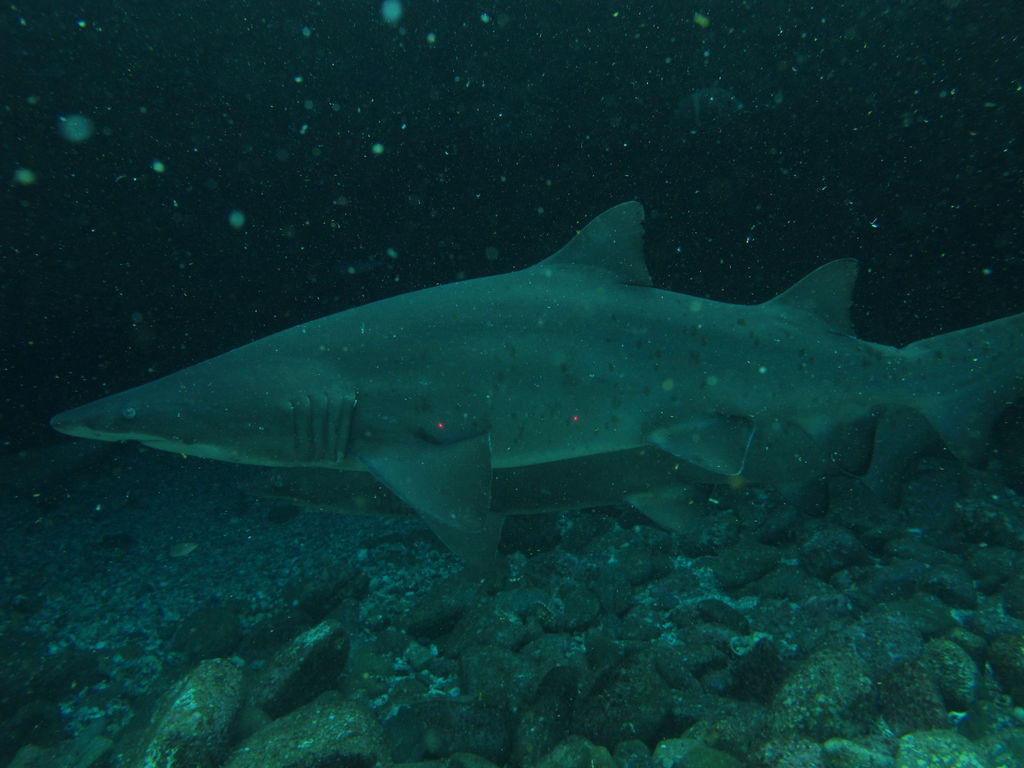 c4bf511c-9291-4548-bfea-ccb341598be0