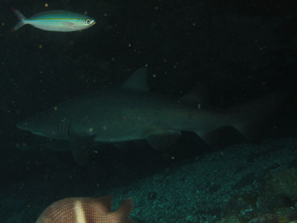 c4bf511c-9291-4548-bfea-ccb341598be0