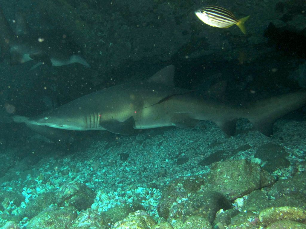 d3abd332-8d86-4e16-a780-e1f6f027fe1f