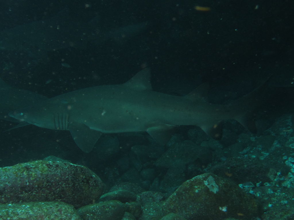 9d4a27a9-d26a-40c7-81e4-18e61c8a0241