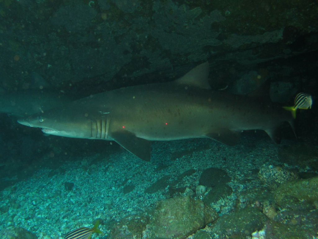 e06f1e97-8601-4f22-937f-93ea99cd243d