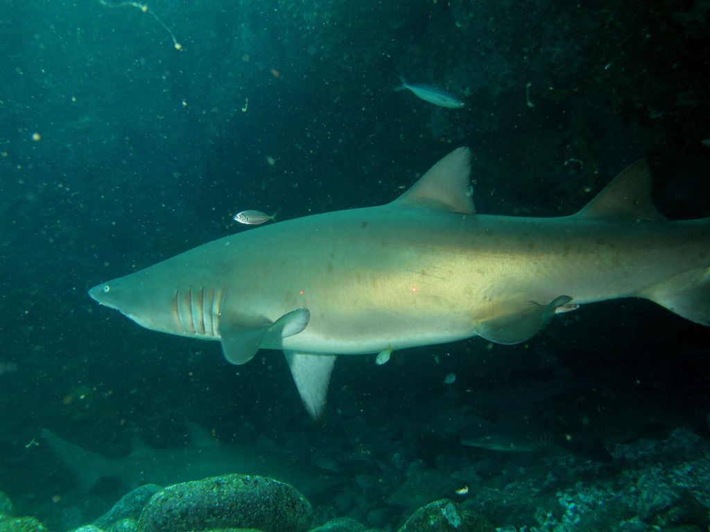 3efc33ea-56f2-4e92-8f34-1c7f42163381