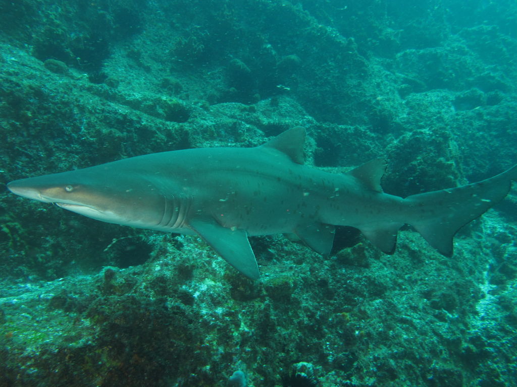 e227fa47-a528-43ce-84e9-468ee0379787