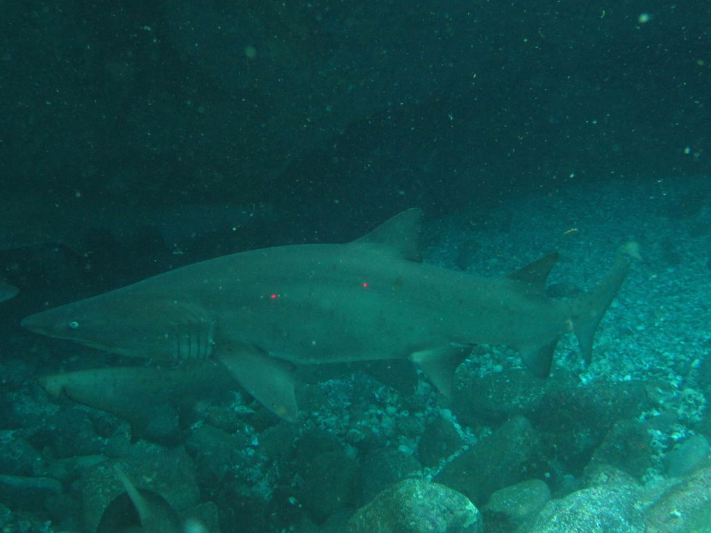 3efc33ea-56f2-4e92-8f34-1c7f42163381