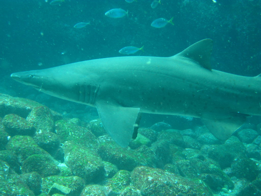 16f9b6c1-ba9b-4d91-8a35-4cd7d8c9fb48