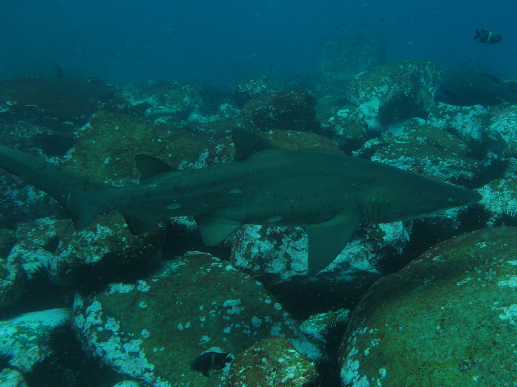 fbab7334-7d94-4917-bbeb-40d962a19580