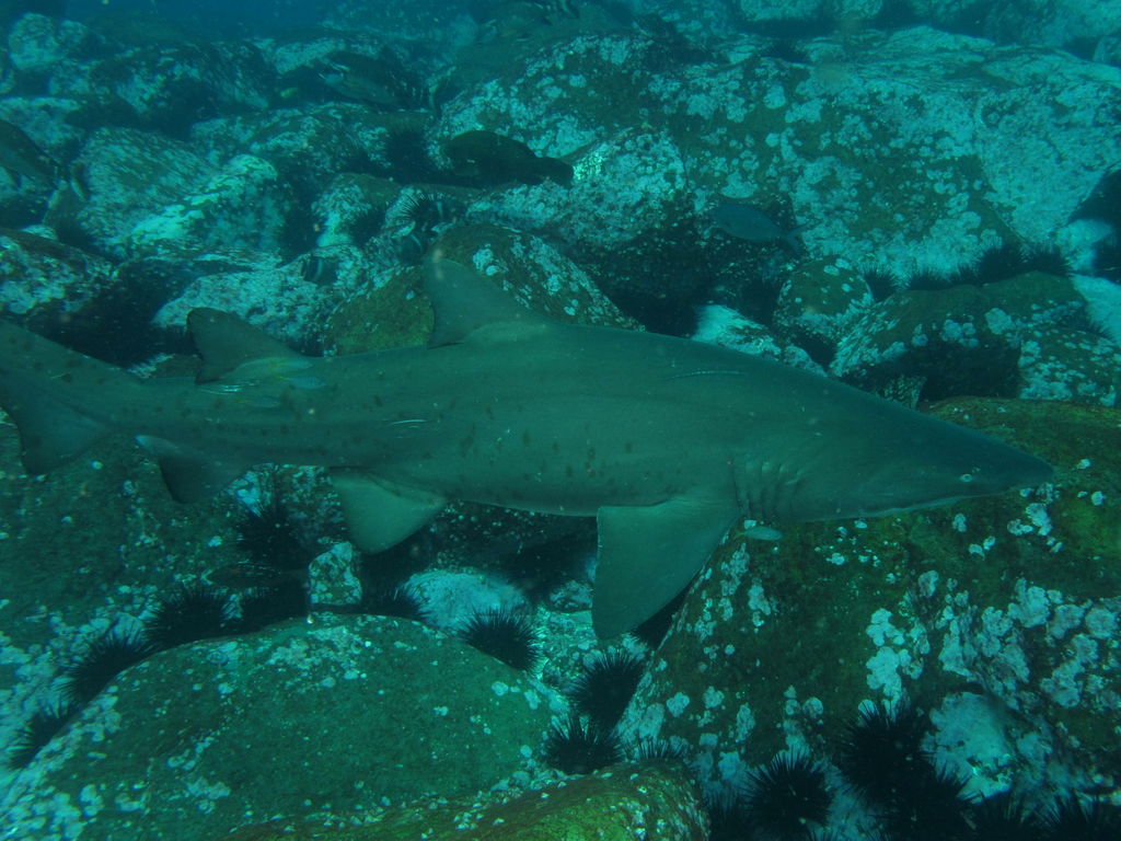 fbab7334-7d94-4917-bbeb-40d962a19580