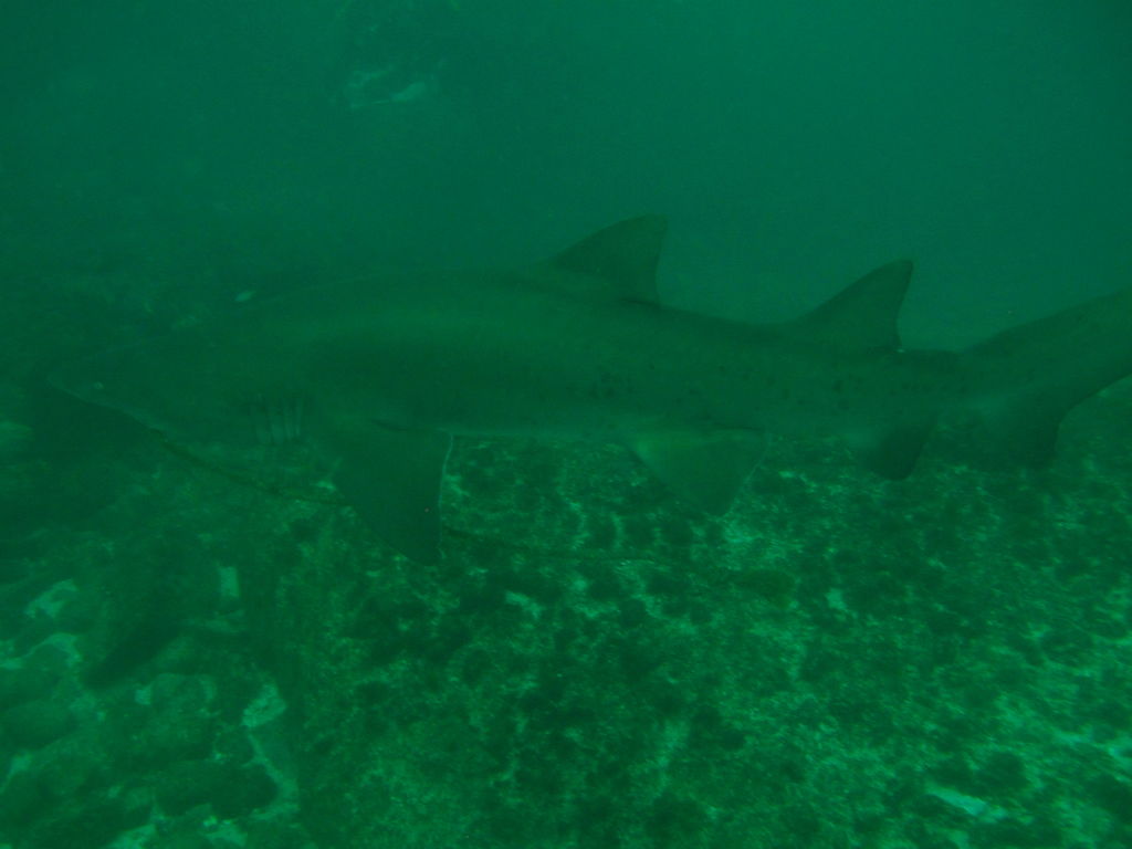 a4fff49d-e60f-4bf9-a4b8-eee9d4edb1e4