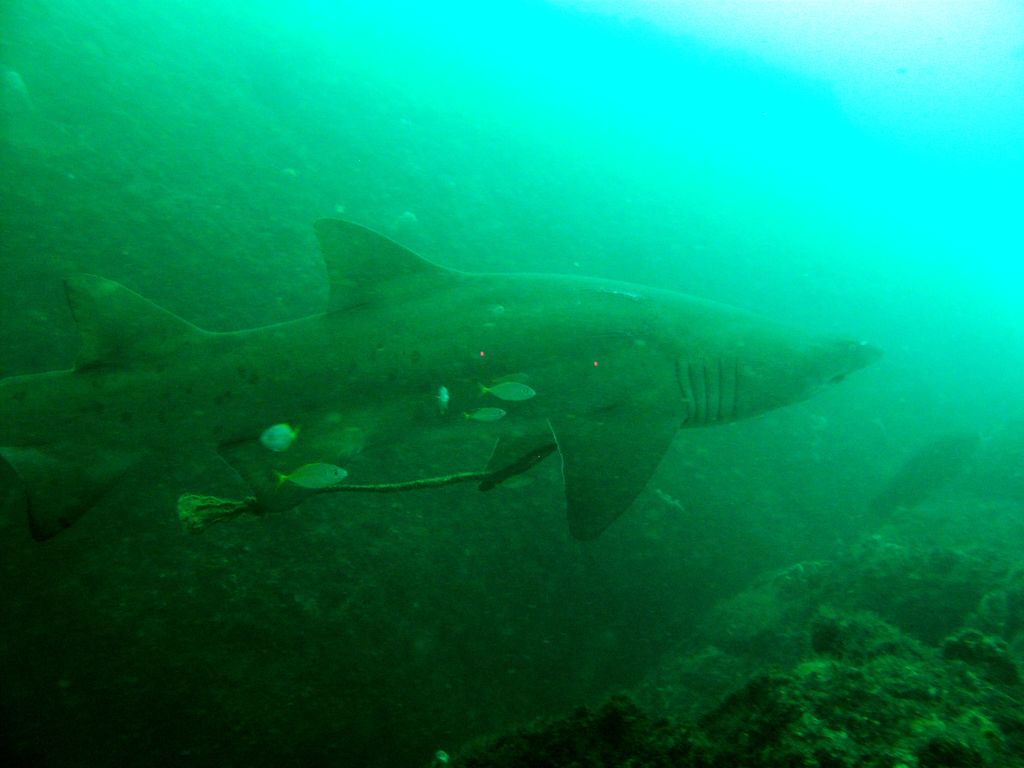 208761fe-2b8a-41a6-9ca9-8e1e3ec45bcf