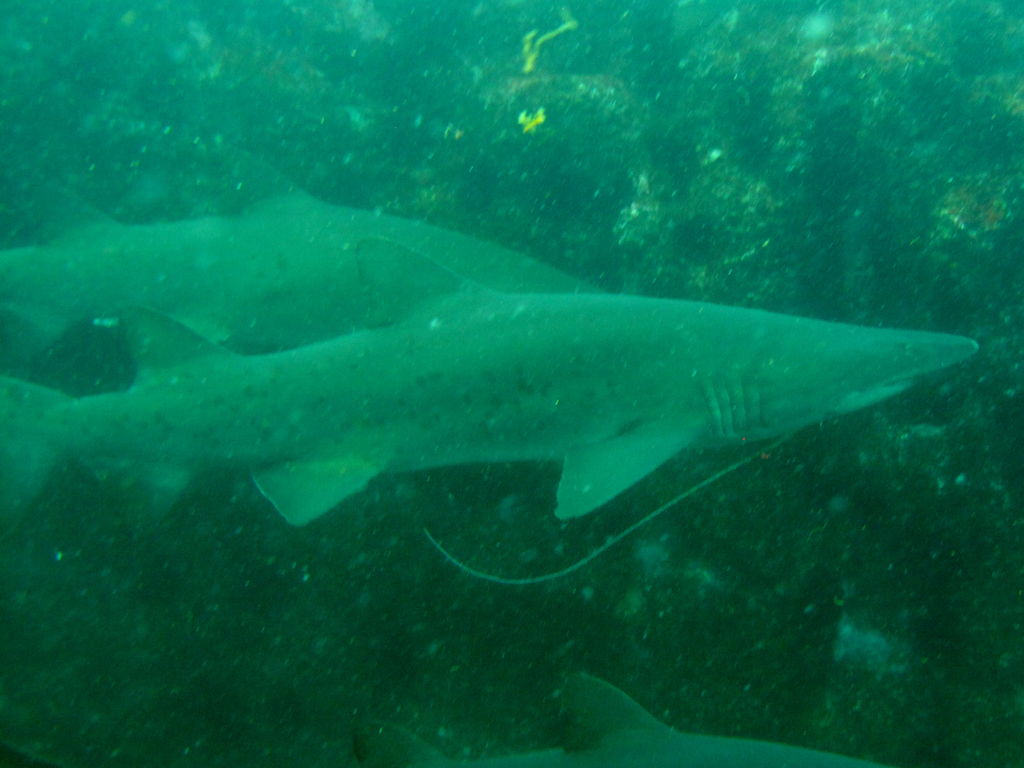 e4f5ce6d-6054-4fff-9b18-3559fa2af21d