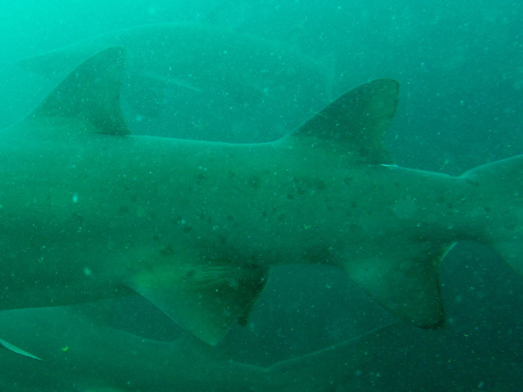 8639f58c-80c9-403e-a98f-f35afa34e84e