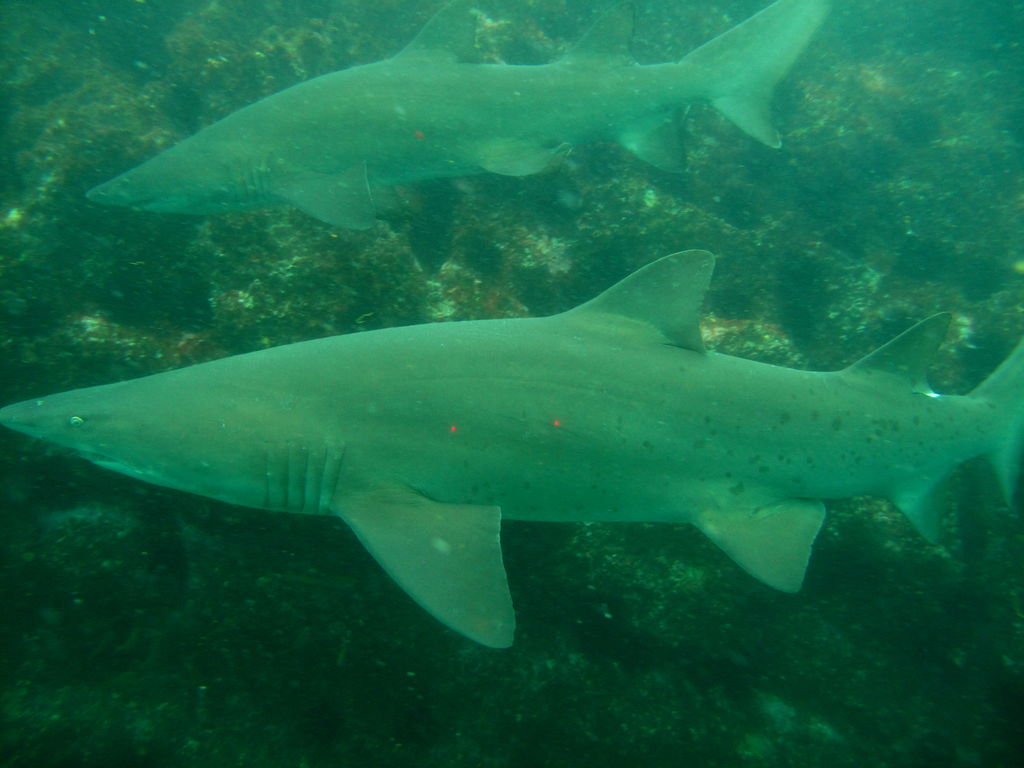 8639f58c-80c9-403e-a98f-f35afa34e84e