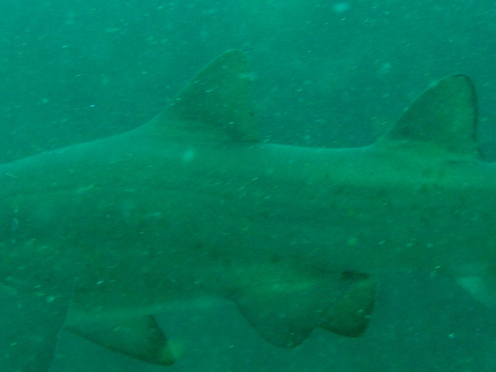 1be8b1f2-a53d-4e42-a8fd-17d7c1ea3519