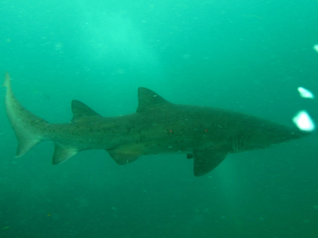 83c6b5d2-7419-4061-b6b7-55c9af005884