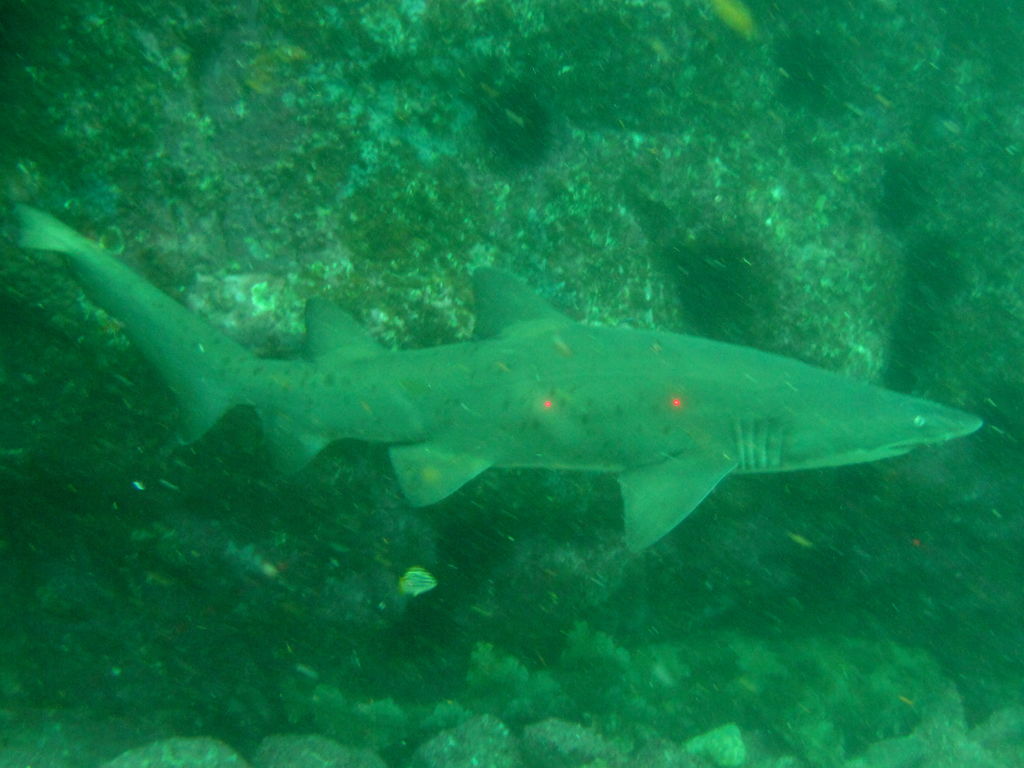 e784c4e2-c62d-4ba8-82ba-65b72ac42970