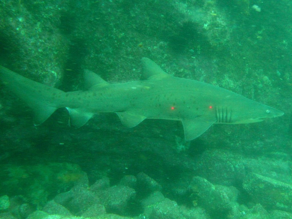 e784c4e2-c62d-4ba8-82ba-65b72ac42970