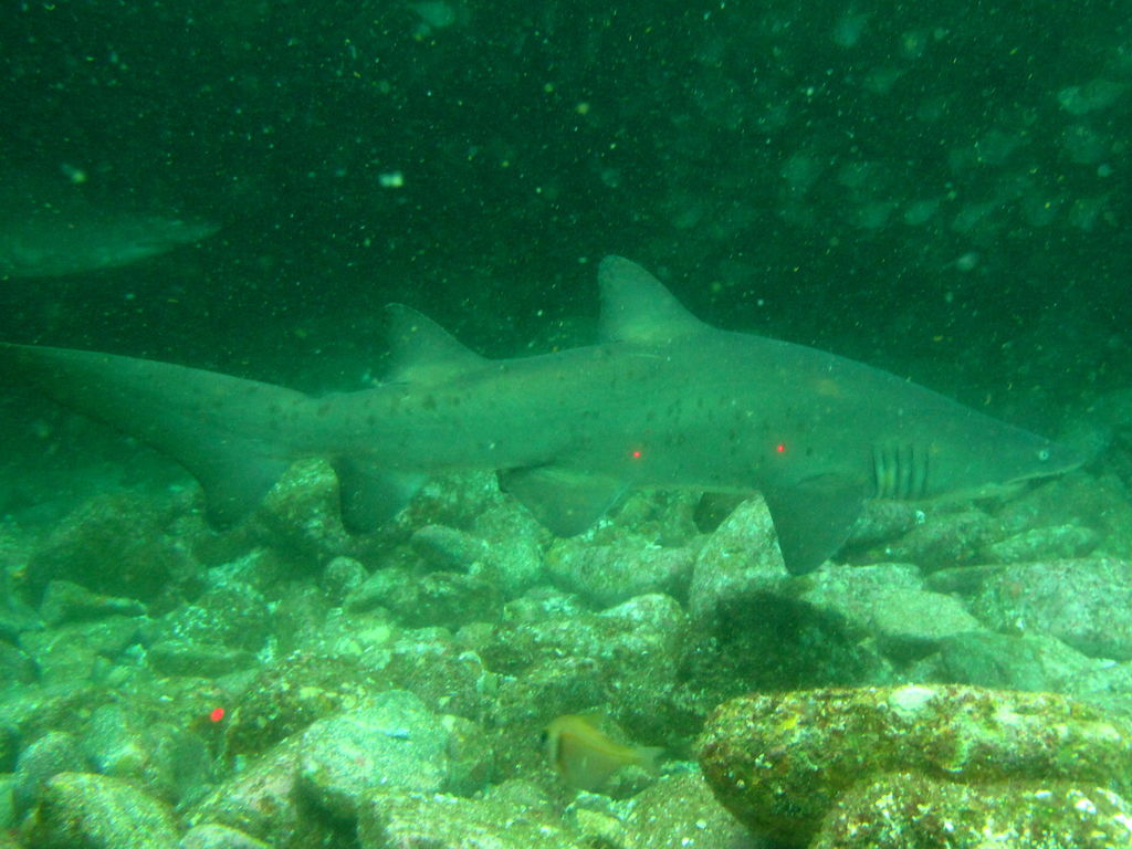 e784c4e2-c62d-4ba8-82ba-65b72ac42970