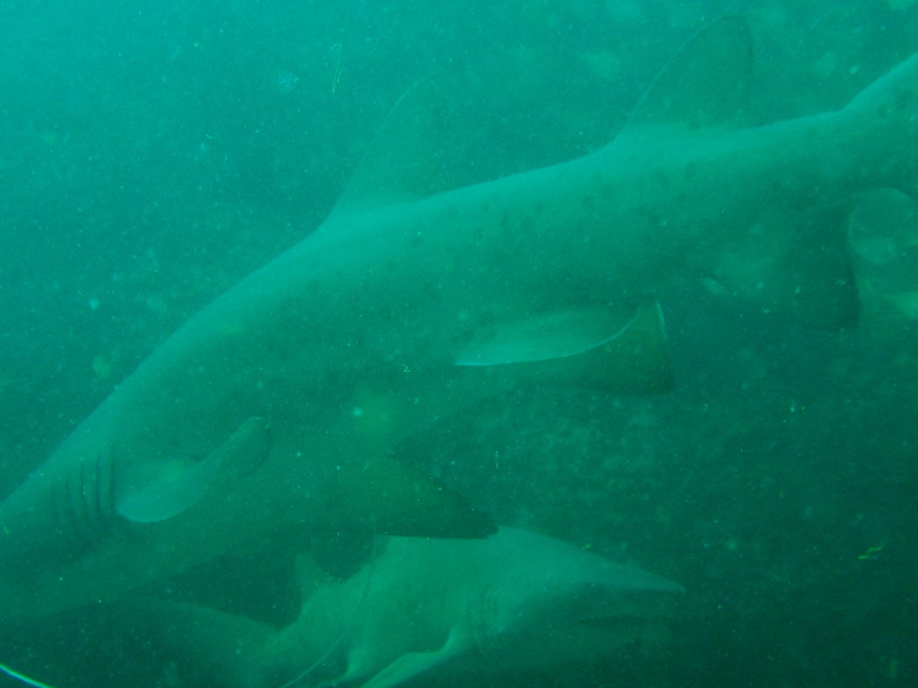 f63f4fa6-0f0b-41e7-8e74-4d09dcb7241d