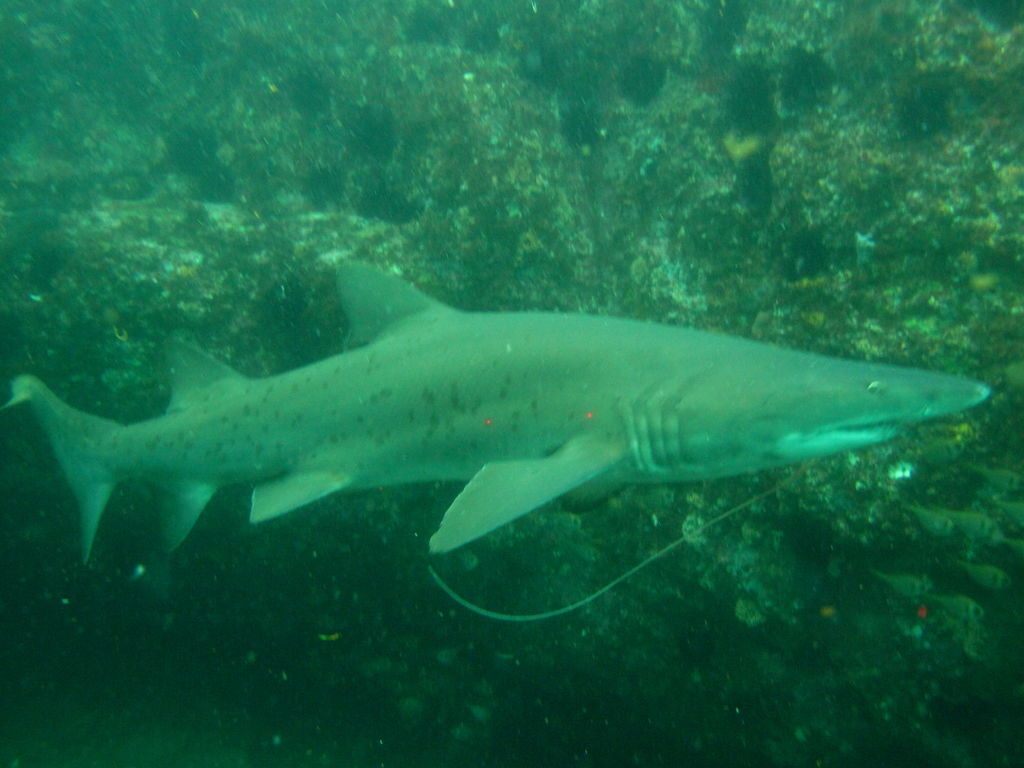 e4f5ce6d-6054-4fff-9b18-3559fa2af21d