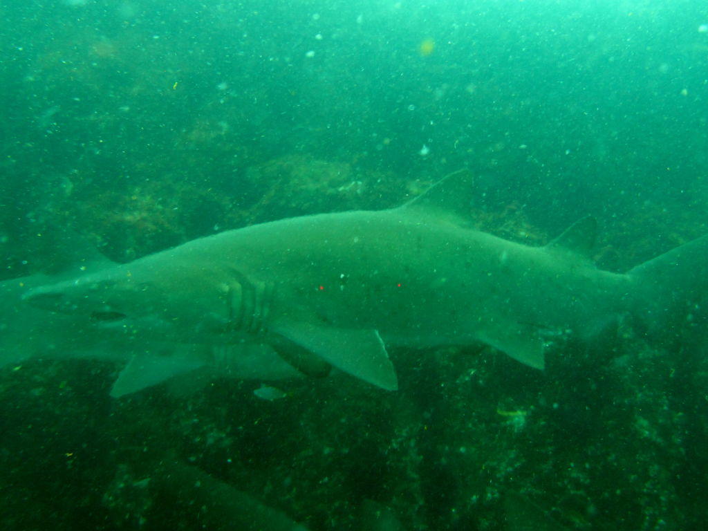 012530bd-9d87-490f-bfd7-3a850a35d188