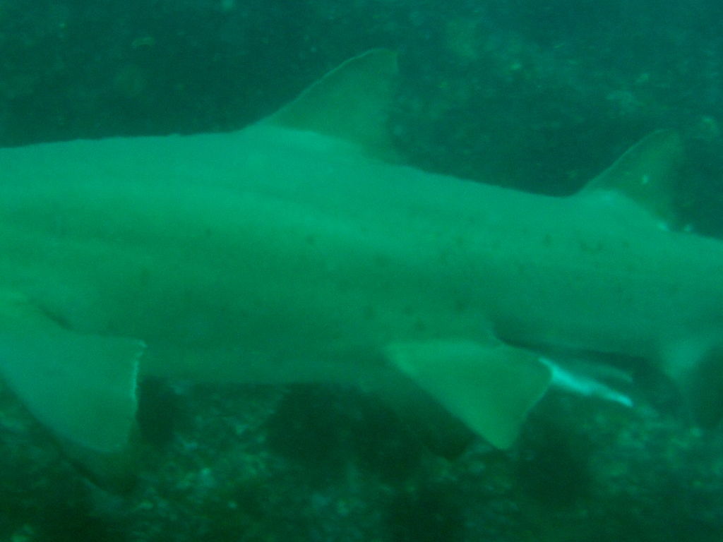 edfc2c3b-e47f-44b5-9484-c435dd7d39ae