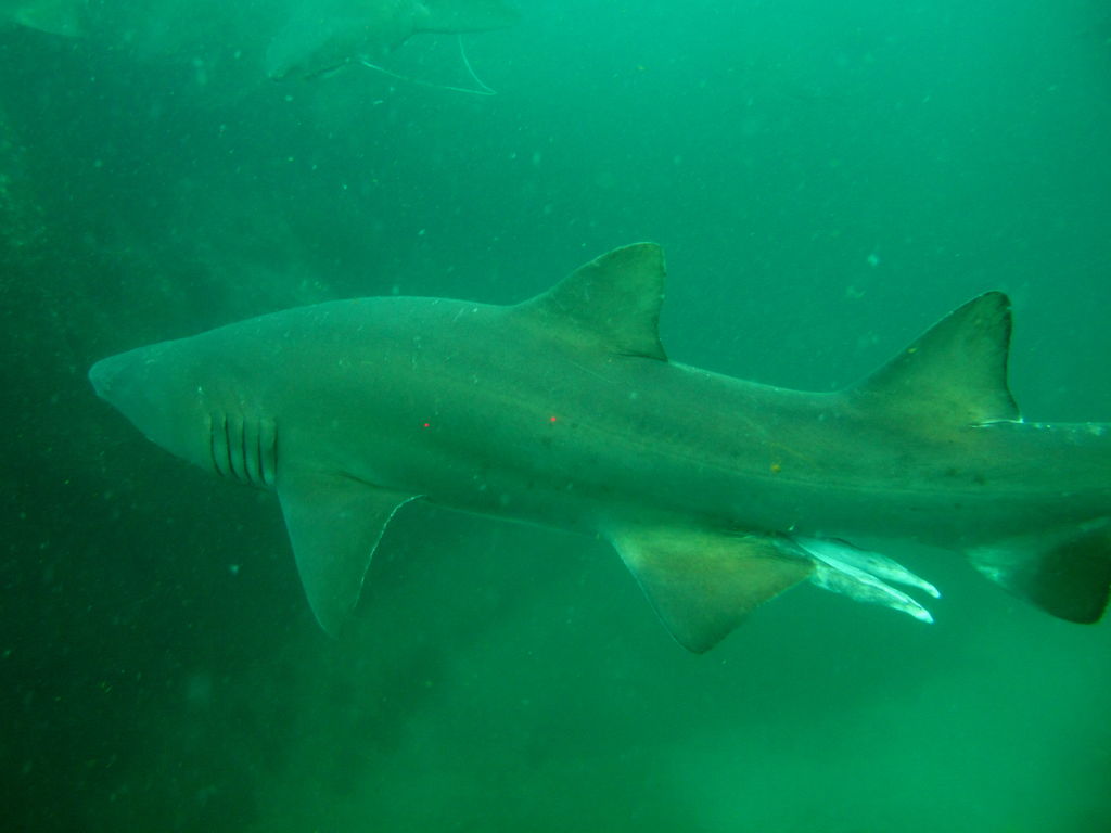 012530bd-9d87-490f-bfd7-3a850a35d188