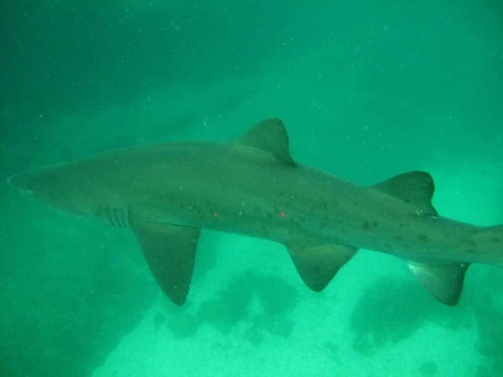 edfc2c3b-e47f-44b5-9484-c435dd7d39ae