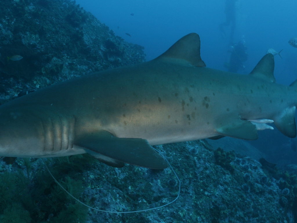 3657eca3-f3ad-43bb-ad5c-0e76b0ed6abf