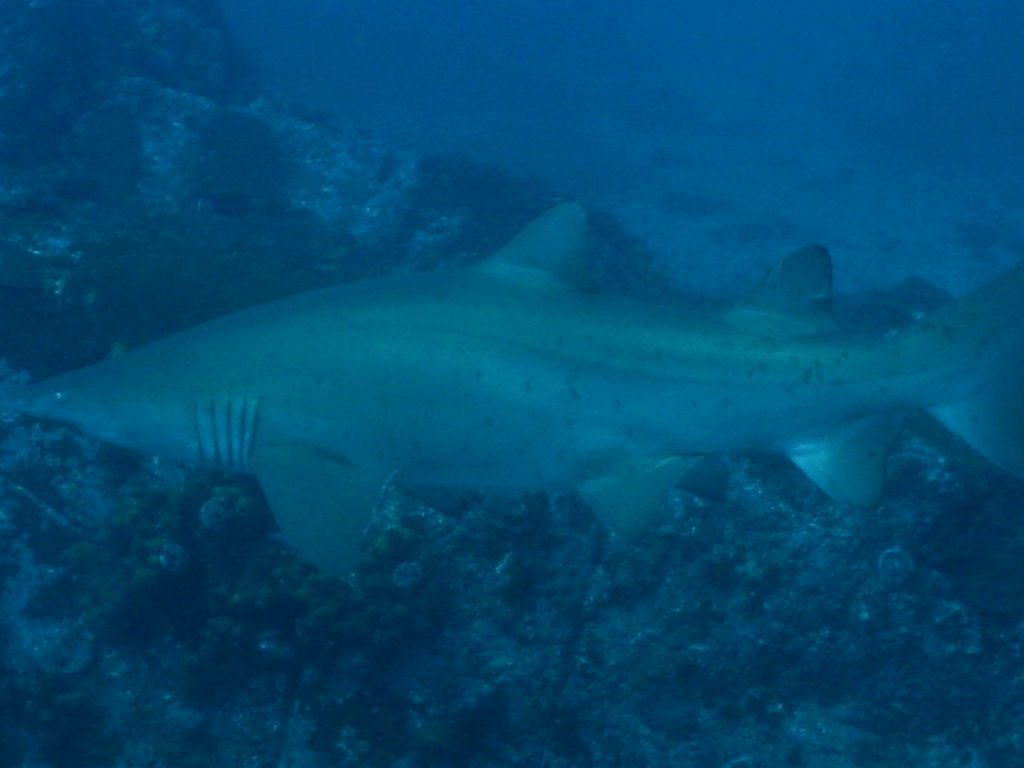 5c31445e-1fc3-4f3a-b220-0de707fc87c4