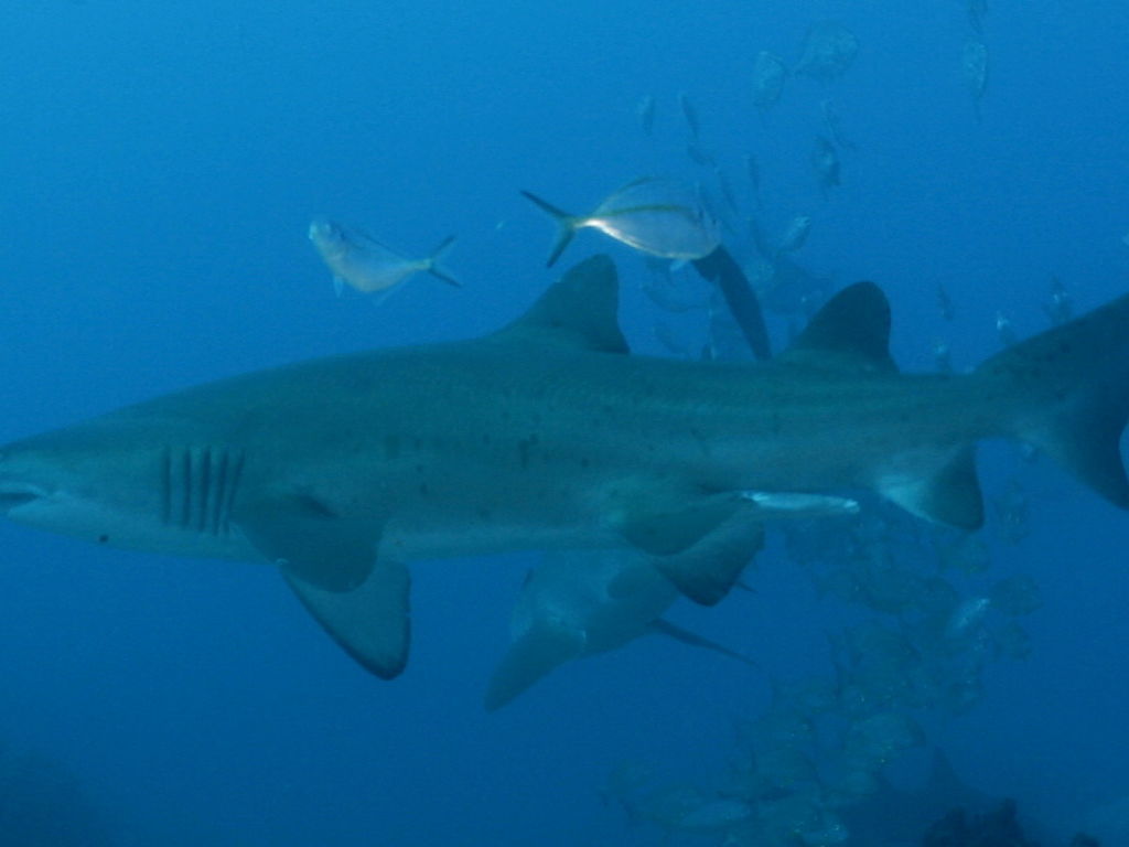 452106b8-fbcf-4775-b00a-519bf3927b5a