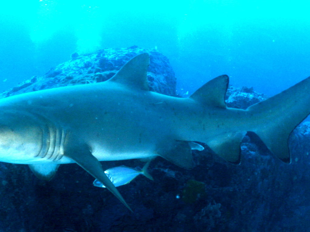 f30ffe30-ff9e-4733-b31c-793e4e07044b